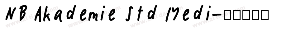 NB Akademie Std Medi字体转换